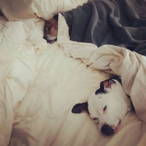 Pinky asleep