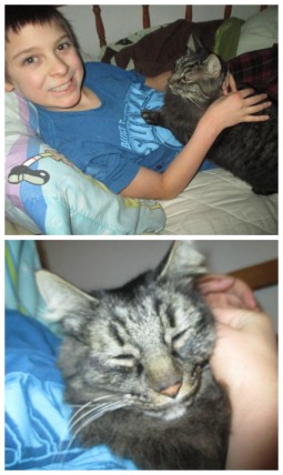 Maurice collage