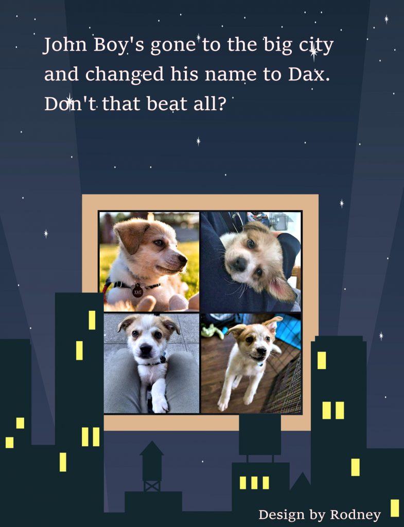 Photo Collage of Dax formerly John Boy